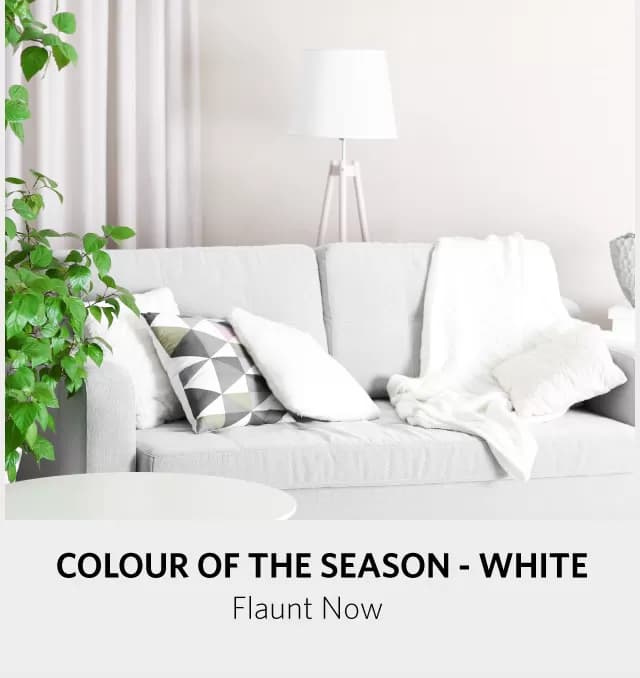 Elegra_section4_images_2